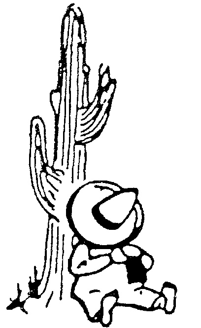 cactus and sombrero coloring pages - photo #48