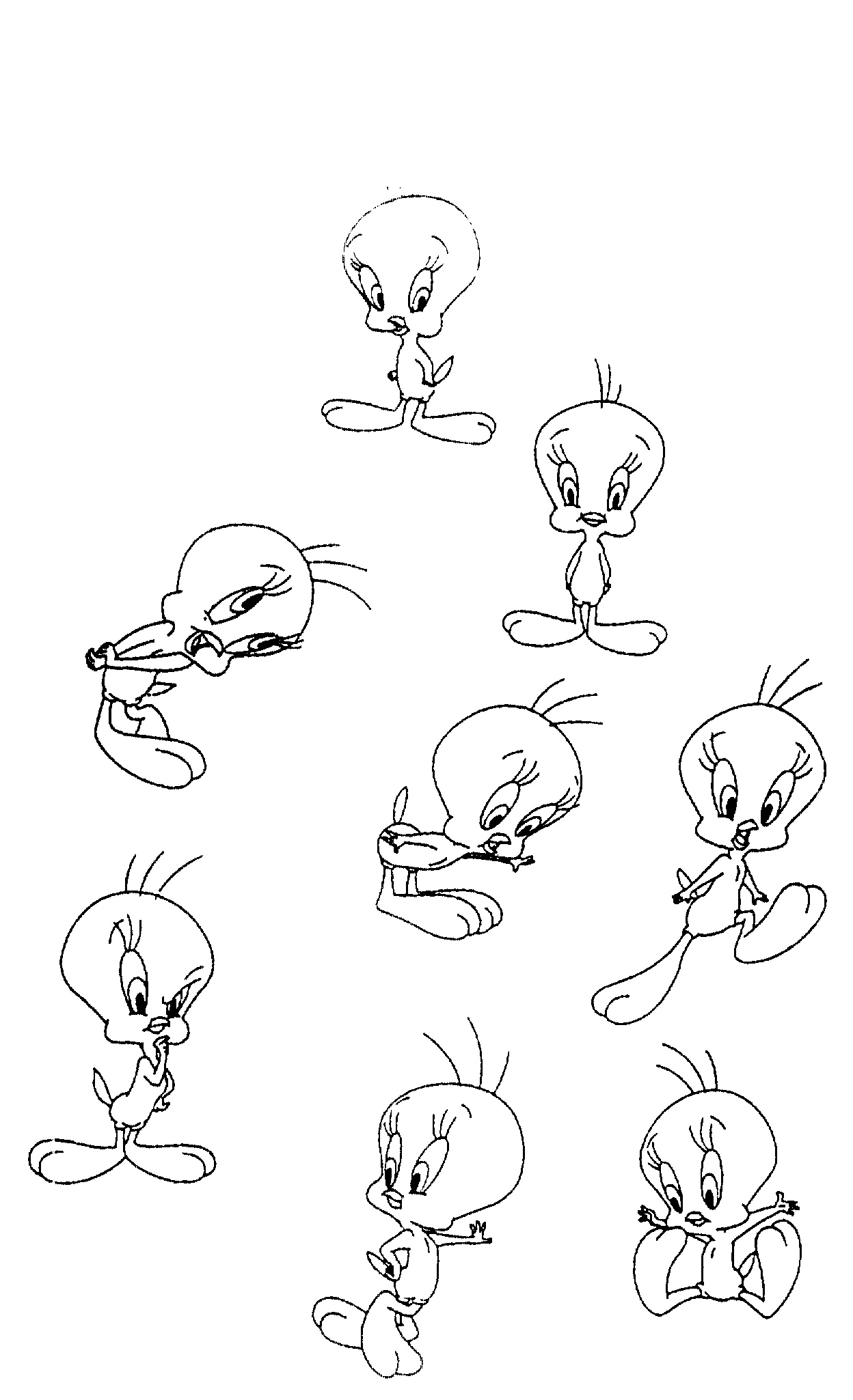 Cartoon Bird Drawings