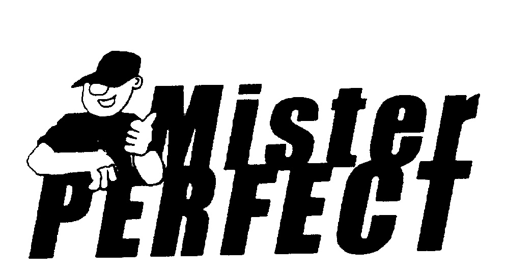 MISTER PERFECT by Dynalink Hardware - 834829