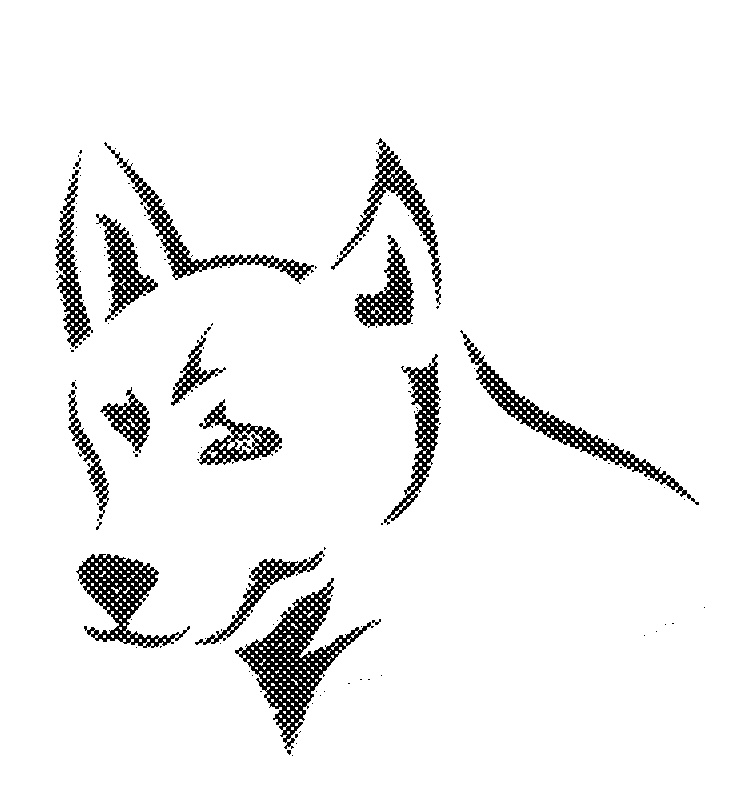 Featured image of post How To Draw A Dingo Face This blog is a tutorial on how to draw faces