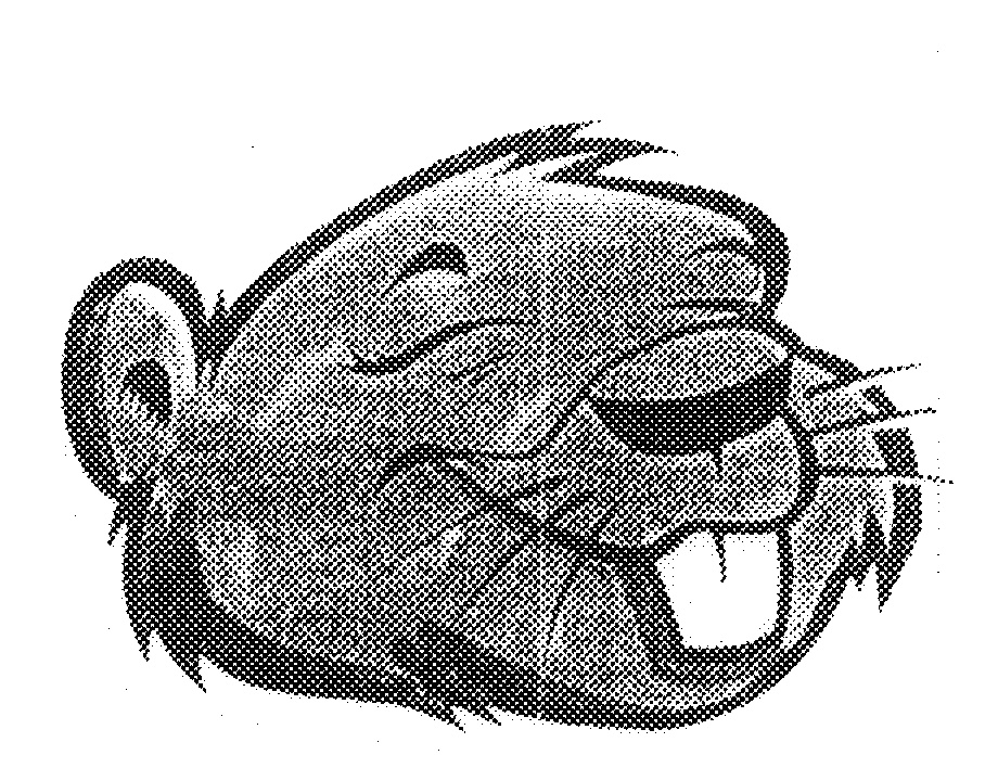 Beaver Head Cartoon