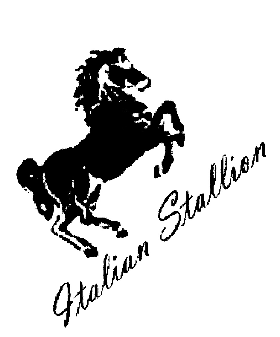 Stallion Logo